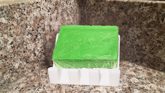 Coastal Fresh Scented Soap- Full Size Bar